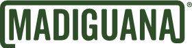 light logo