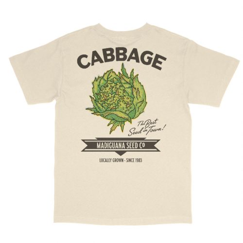 Cabbage